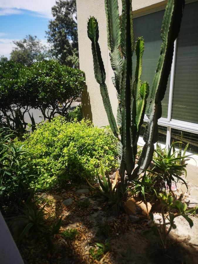 Cape Town Family Beachfront Apartment Leisure Bay Luaran gambar